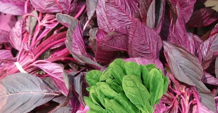 লাল শাক ও পালংয়ে যে উপকার