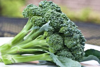 ফুল না ডাঁটা, ব্রকলির কোন অংশ বেশি উপকারী?