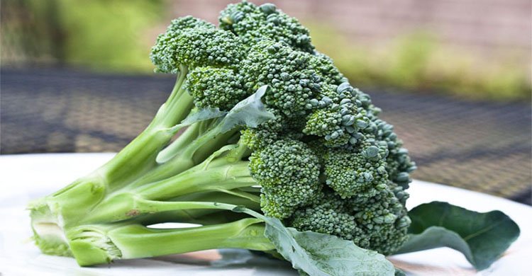 ফুল না ডাঁটা, ব্রকলির কোন অংশ বেশি উপকারী?