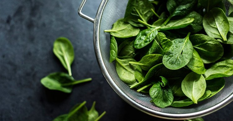 শীতে রোগ মোকাবিলায় পালংশাক