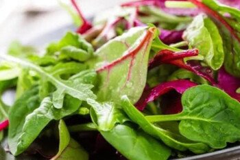 বয়স বাড়ার সাথে সাথে খাবারের পুষ্টিগুণ ও প্রয়োজনীয়তা যেভাবে বদলে যায়