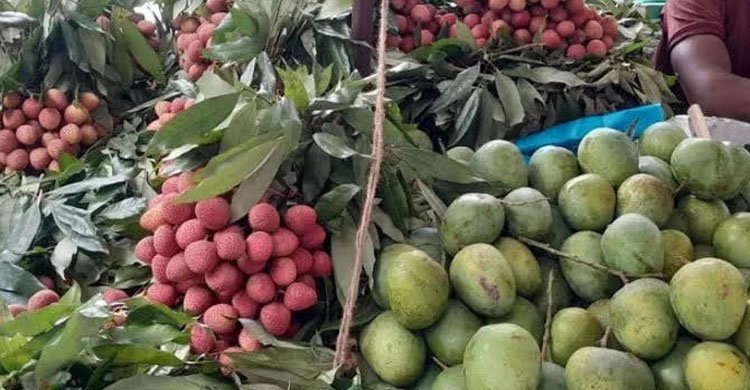 প্রবাসীদের চাহিদায় বাংলাদেশের ফল রপ্তানিতে রেকর্ড, ১১ মাসে আয় ১২.৩ কোটি ডলার
